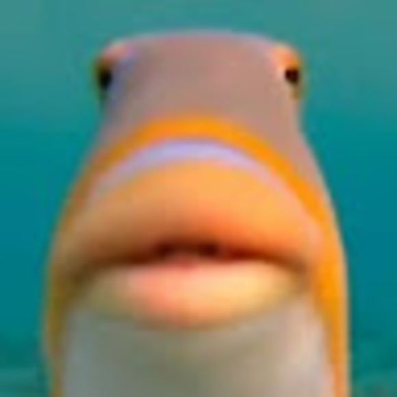 Meet your Posher, Monireh - Picture 1 of 1